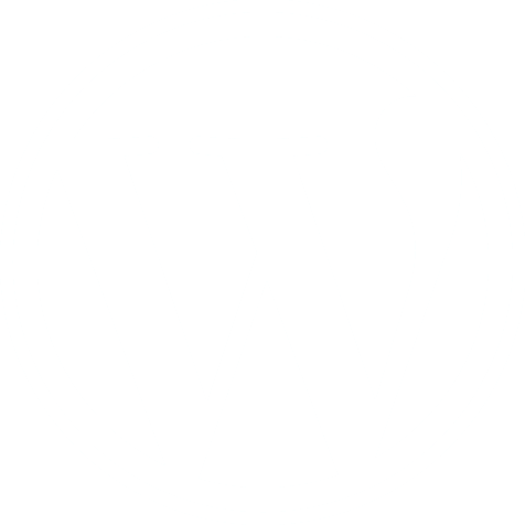 Wordpress Kurs